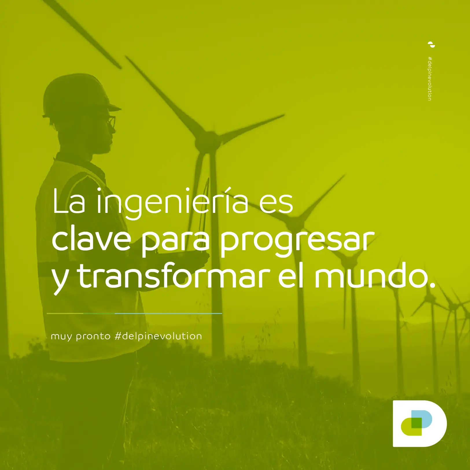 Branding y web
